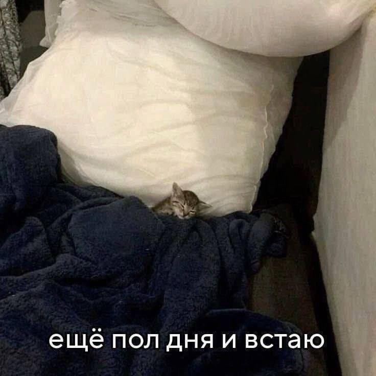 еще пол дня и встаю