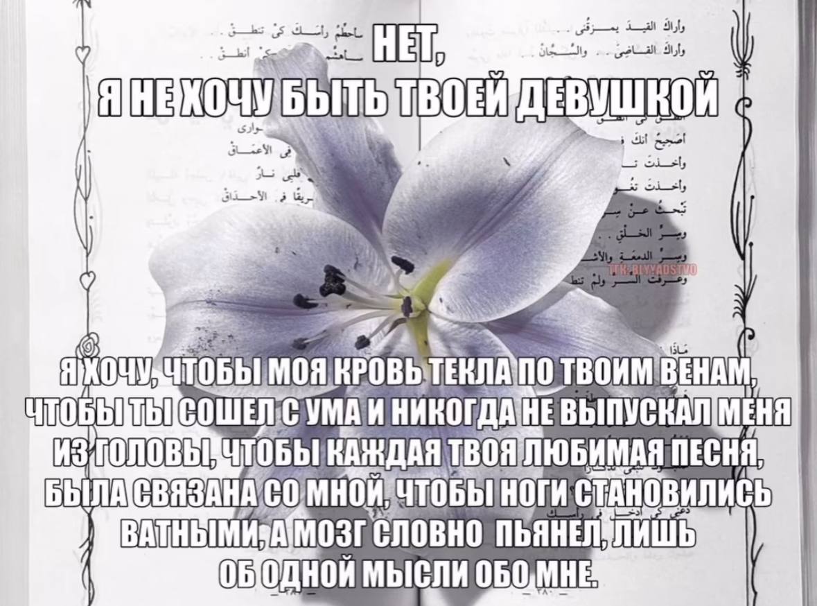 много прошу что ли?