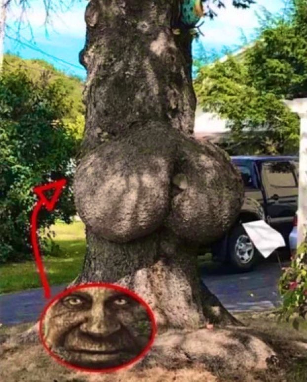 a: