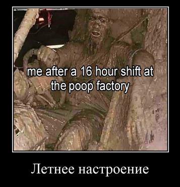 me after a 16 hour shift at poop factory Летнее настроение