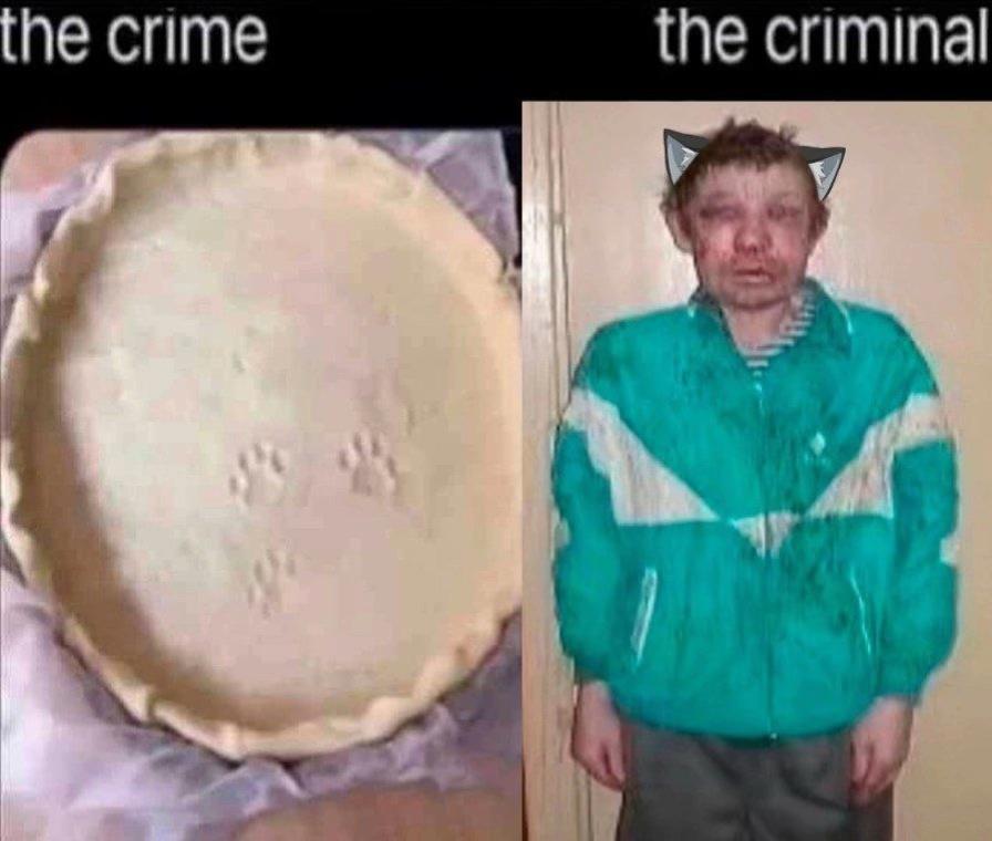 crime the criminal