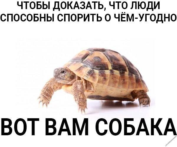 ЧТОБЫ ДОКАЗАТЬ, ЧТО ЛЮДИ СПОСОБНЫ СПОРИТЬ 0 ЧЁМ-УГОДНО BOT BAM COBAKA