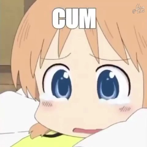 мем
