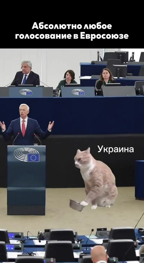 Абсолютно любое голосование в Евросоюзе