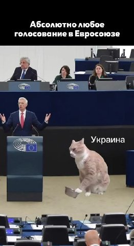 Абсолютно любое голосование в Евросоюзе
