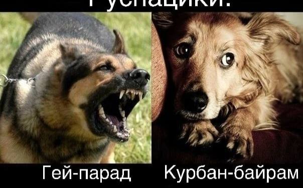 "4 <4 Гей-парад Курбан-байрам