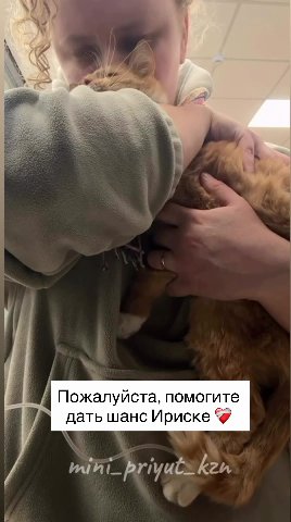 Пятое переливание крови 🥺
Рухнуло давление после взятия биопсии печени и почки. Процедуры в принципе непростые, а с её нестабильным и постоянно падающим гематокритом - опасные. 
Удалось стабилизироват