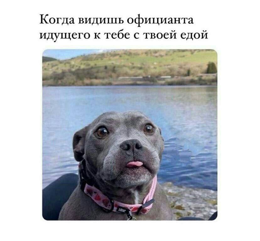 Когда видишь официанта идущего к тебе с твоей едой a”