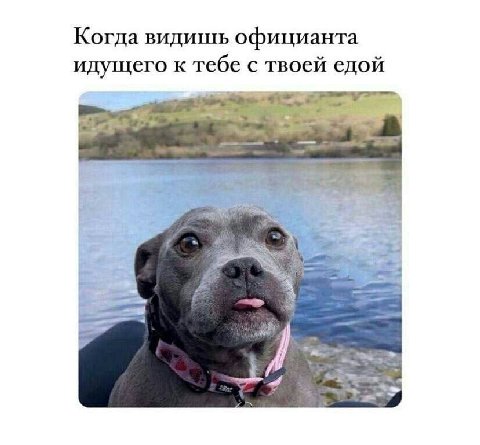 Когда видишь официанта идущего к тебе с твоей едой a”