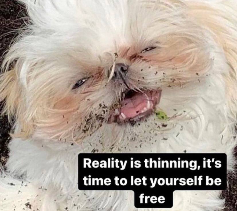 lity is thinning, it's yourself be time to free