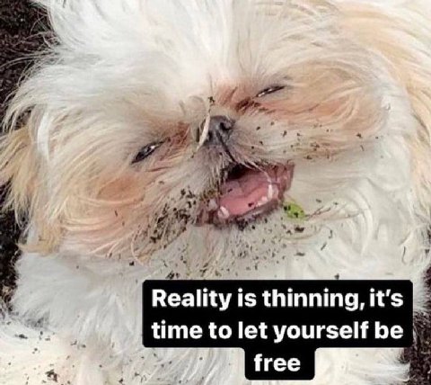 lity is thinning, it's yourself be time to free