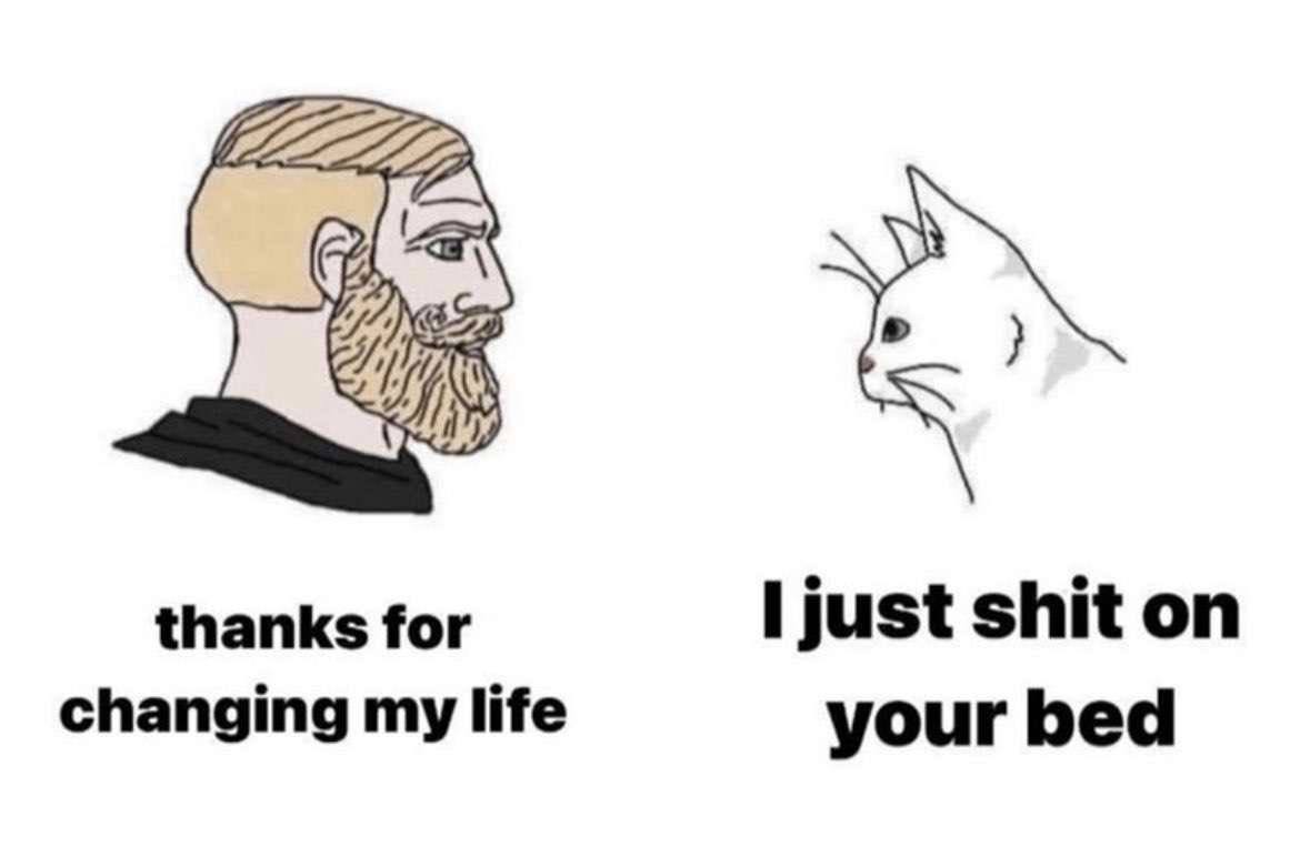thanks for shit on changing my life your bed