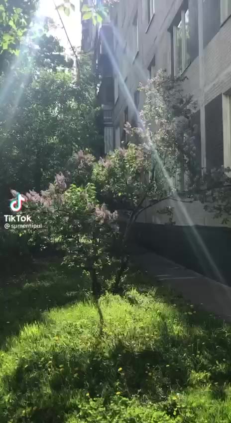 a TikTok