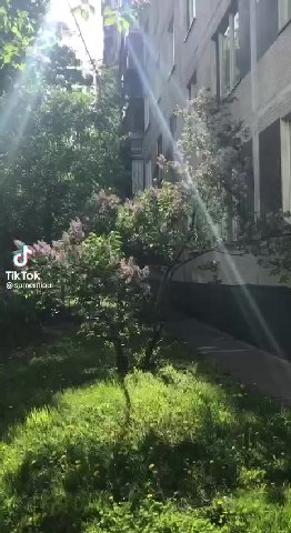 a TikTok