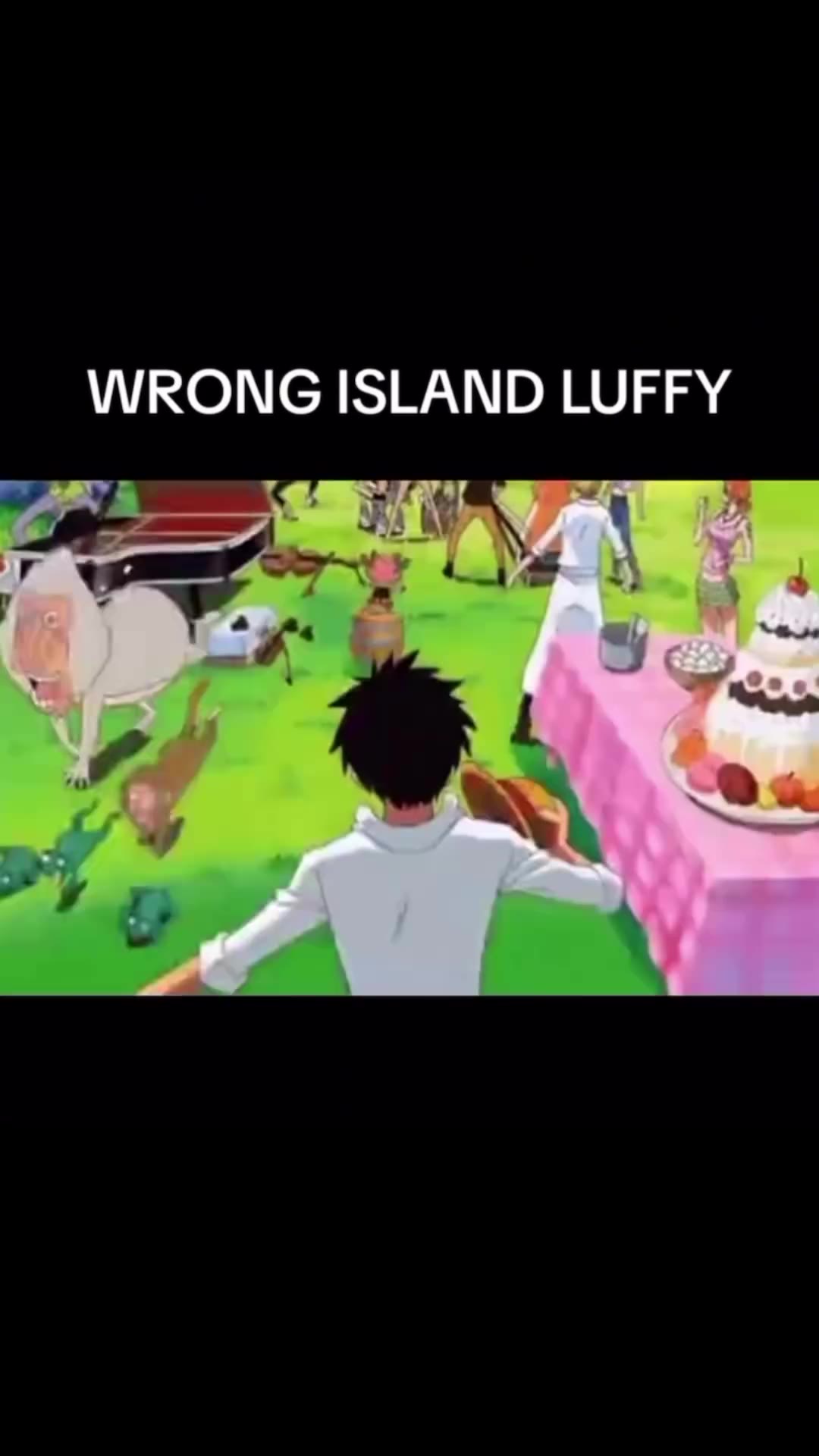 WRONG ISLAND LUFFY