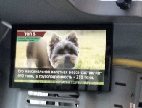 ТОП Его максимальная взлетная составляе! 640 тонн, а грузоподъемность 250 тонн, 1