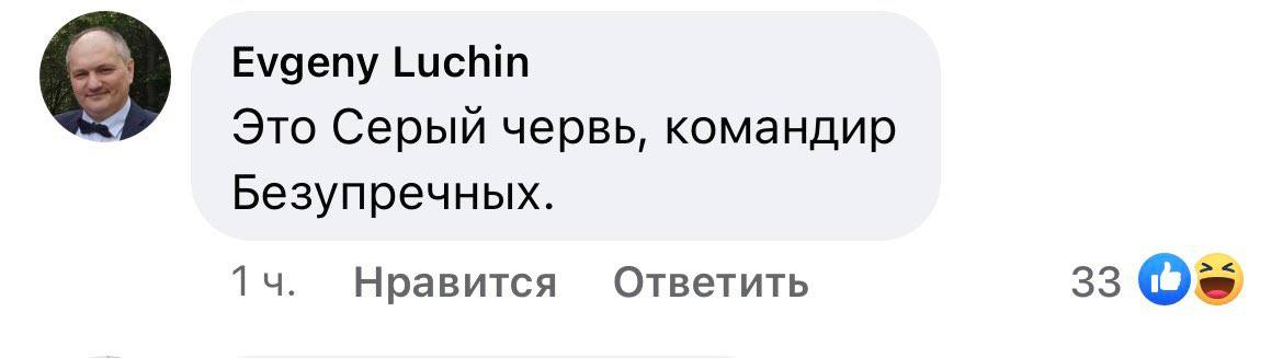 Evgeny Luchin Это Серый червь, командир Безупречных. Нравится Ответить 33