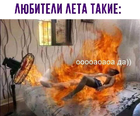 АЮБИТЕЛИ ЛЕТА ТАКИЕ: да))