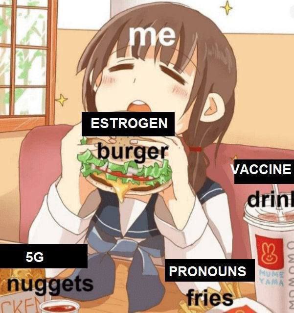 A ESTROGEN VACCINE с PRONOUNS 2