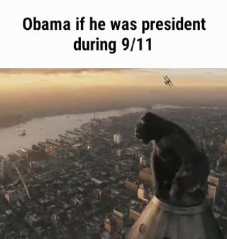 Obama if he was president