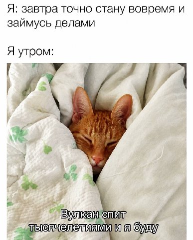 Я: завтра точно стану вовремя и займусь делами Я утром 2