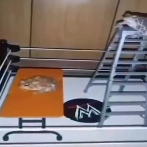 мем