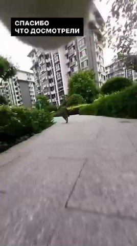 в голос с Колясика.