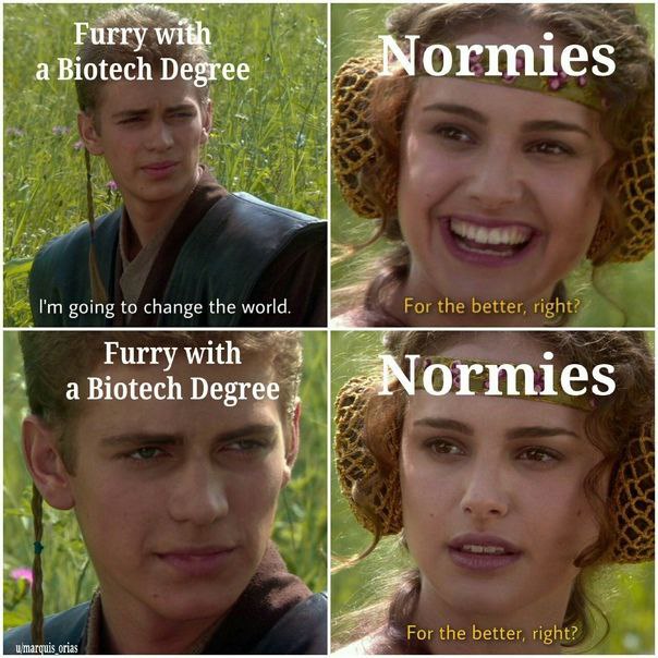 Furry with a Biotech Degree ormies going to change the world Furry with а Biotech Degree ormies