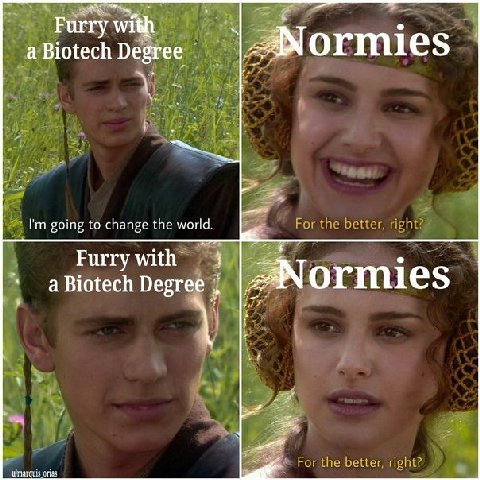 Furry with a Biotech Degree ormies going to change the world Furry with а Biotech Degree ormies
