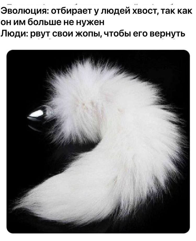 Эволюция: отбирает улюдей хвост, так как больше не нужен Люди: рвут свои жопы, чтобы его вернуть
