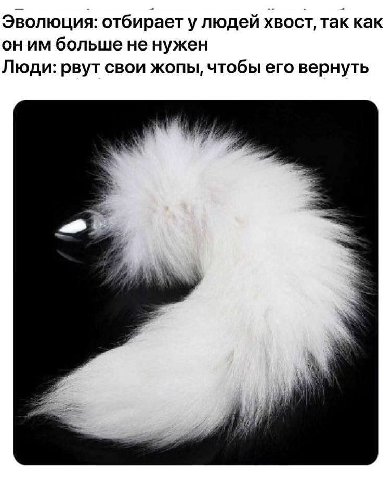 Эволюция: отбирает улюдей хвост, так как больше не нужен Люди: рвут свои жопы, чтобы его вернуть
