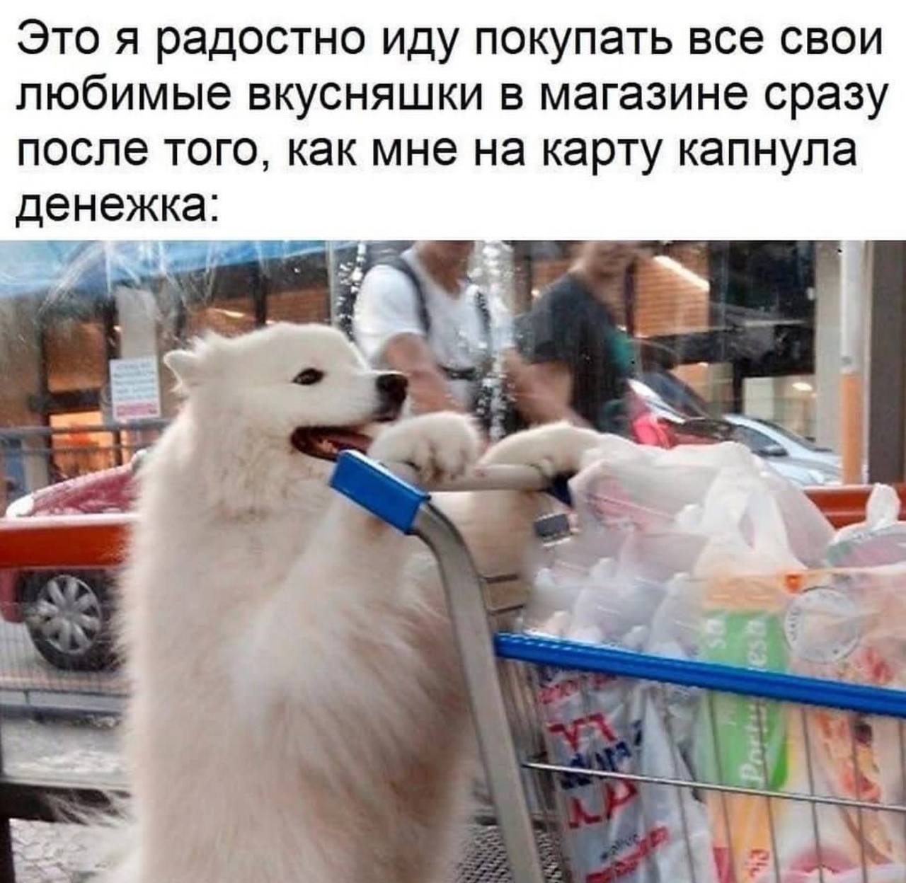Это я радостно иду покупать все свои любимые вкусняшки в магазине сразу после того, как мне на карту капнула денежка: 3 к 3 3} “Tir 2