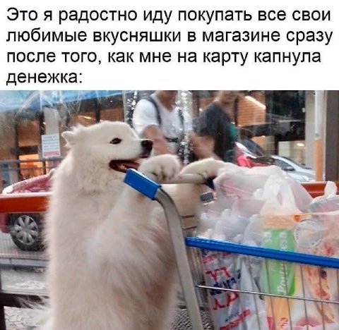 Это я радостно иду покупать все свои любимые вкусняшки в магазине сразу после того, как мне на карту капнула денежка: 3 к 3 3} “Tir 2