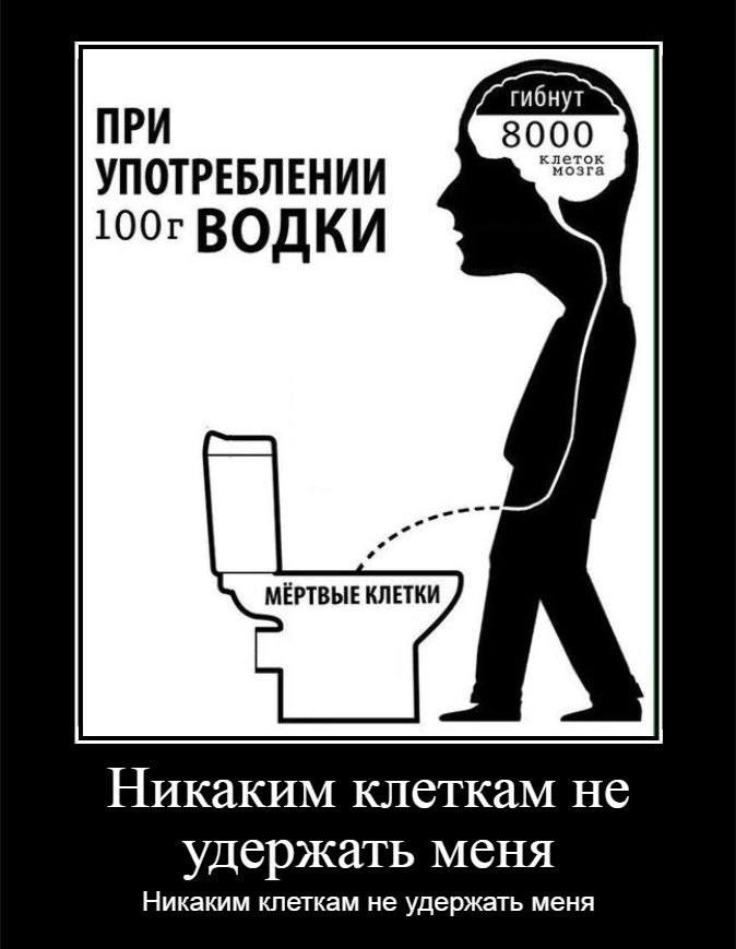 ПРИ 8000 клеток УПОТРЕБЛЕНИИ ВОДКИ MEPTBbIE КЛЕТКИ Никаким клеткам He удержать меня Никаким клеткам не удержать меня