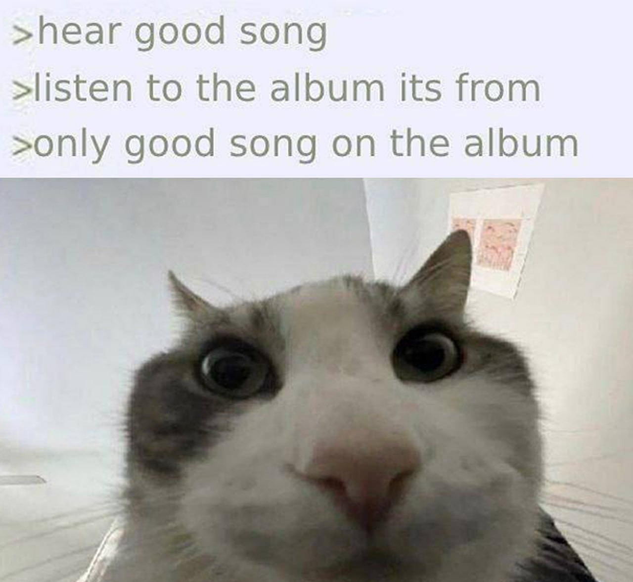 >hear good song >listen to the album its from >only good song on the album