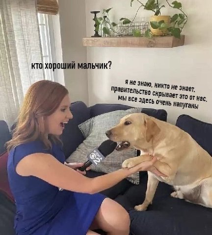 кто хороший мальчик? я HE зна о не знает. Правительство это от нас. очень напуганы к,