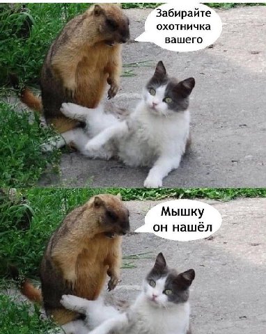 Забирайте охотничка вашего 4 Мышку он нашёл
