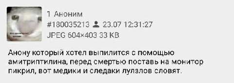 a |1 АНОНИМ #180035213 23.07 12:31:27 JPEG 33 Анону который хотел выпилится с помощью амитриптилина, перед смертью поставь на монитор пикрил, вот медики и следаки лулзлов словят.
