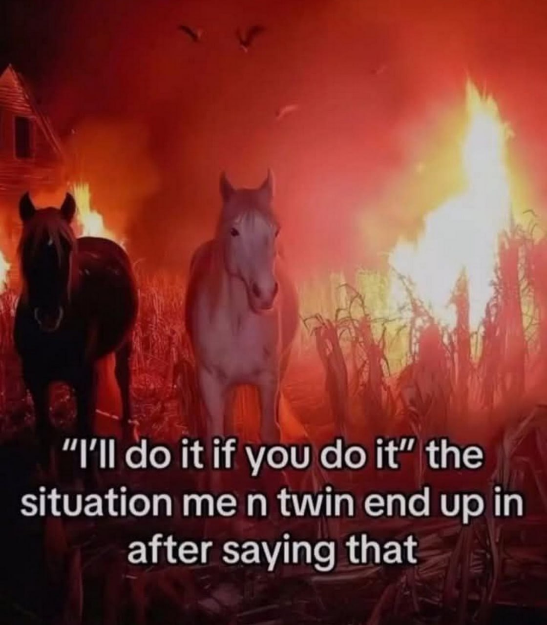 у it if you situation twin end up in after saying that