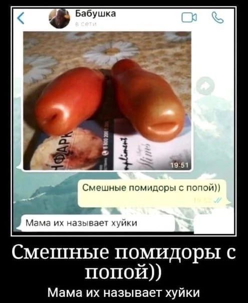4 5 Бабушка 19:51] A Смешные помидоры с попой)) Мама называет хуйки Смешные помидоры с попой)) Мама называет хуйки