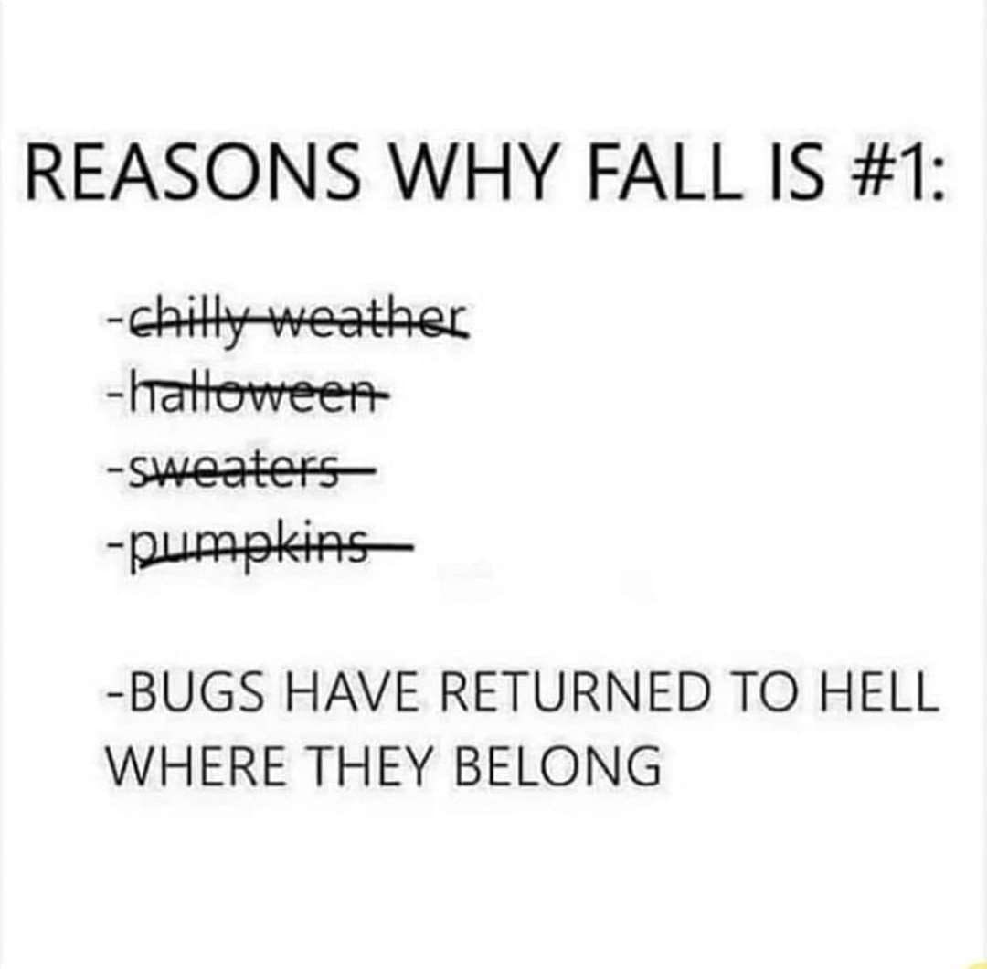 REASONS WHY FALL IS #1 chth weather hateweer- -BUGS HAVE RETURNED TO HELL WHERE THEY BELONG