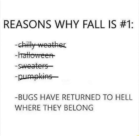 REASONS WHY FALL IS #1 chth weather hateweer- -BUGS HAVE RETURNED TO HELL WHERE THEY BELONG