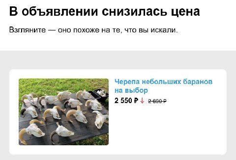 В объявлении снизилась цена Взгляните оно похоже на что вы искали. Черепа небольших баранов на выбор к