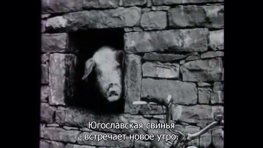 всем доброе