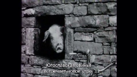 всем доброе