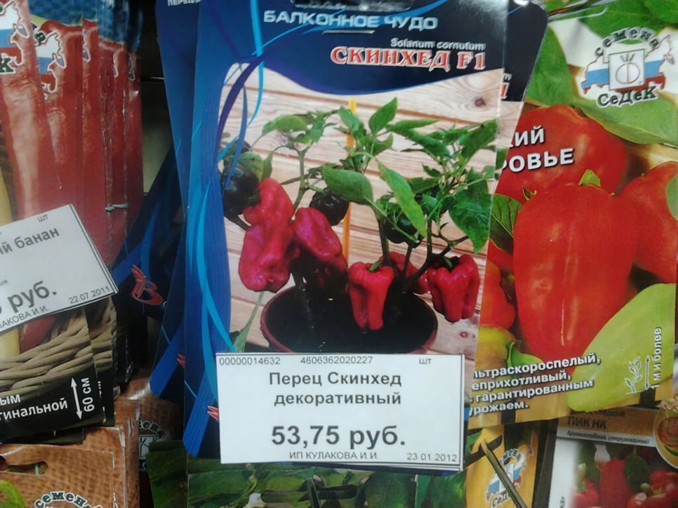 БАЛКОННОЕ Solanum corautum i? 74 7% А 00000014632 4606362020227 wrpackoP вый, Перец Скинхед ванны декоративный гаран 53,75 руб. КУЛАКОВА И И 23012012