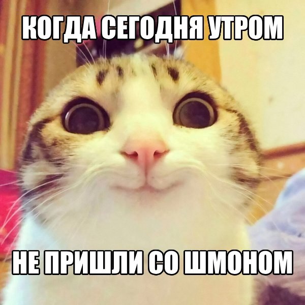 УТРОМ 4