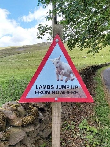 4 rey 4 Я LAMBS JUMP.UP.. FROM NOWHERE Has 2 1 a к we