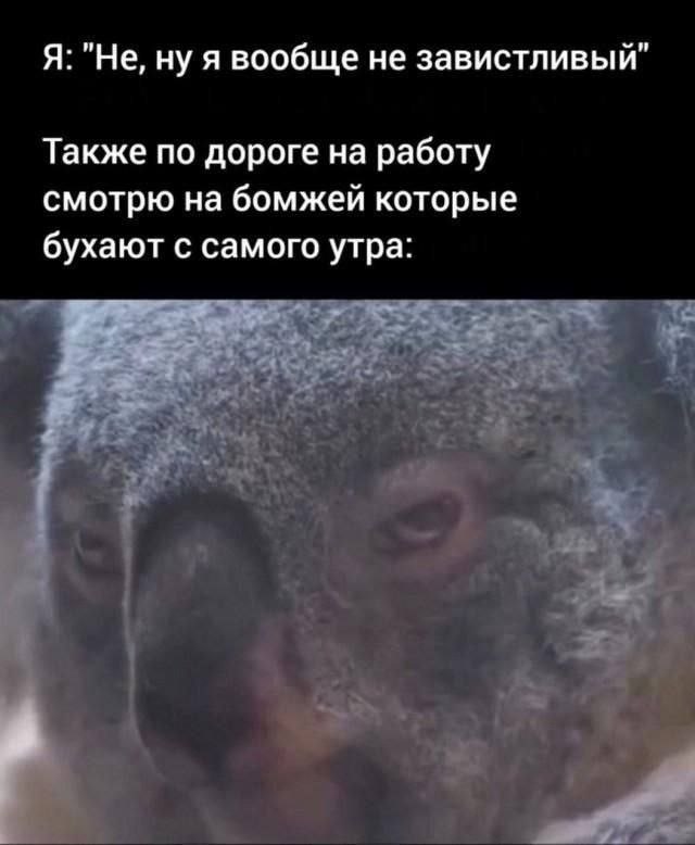 Я: "Не, ну я вообще не завистливый" Также по дороге на работу смотрю на бомжей которые бухают с самого утра: