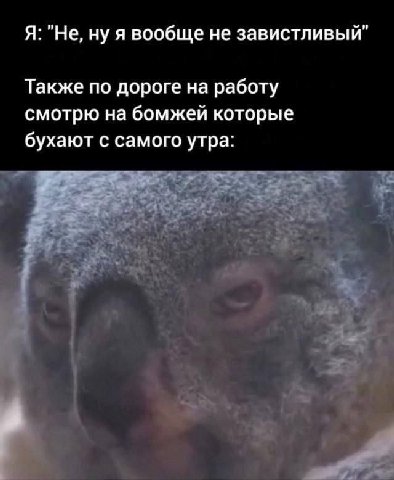 Я: "Не, ну я вообще не завистливый" Также по дороге на работу смотрю на бомжей которые бухают с самого утра: